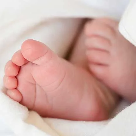 cagnotte naissance