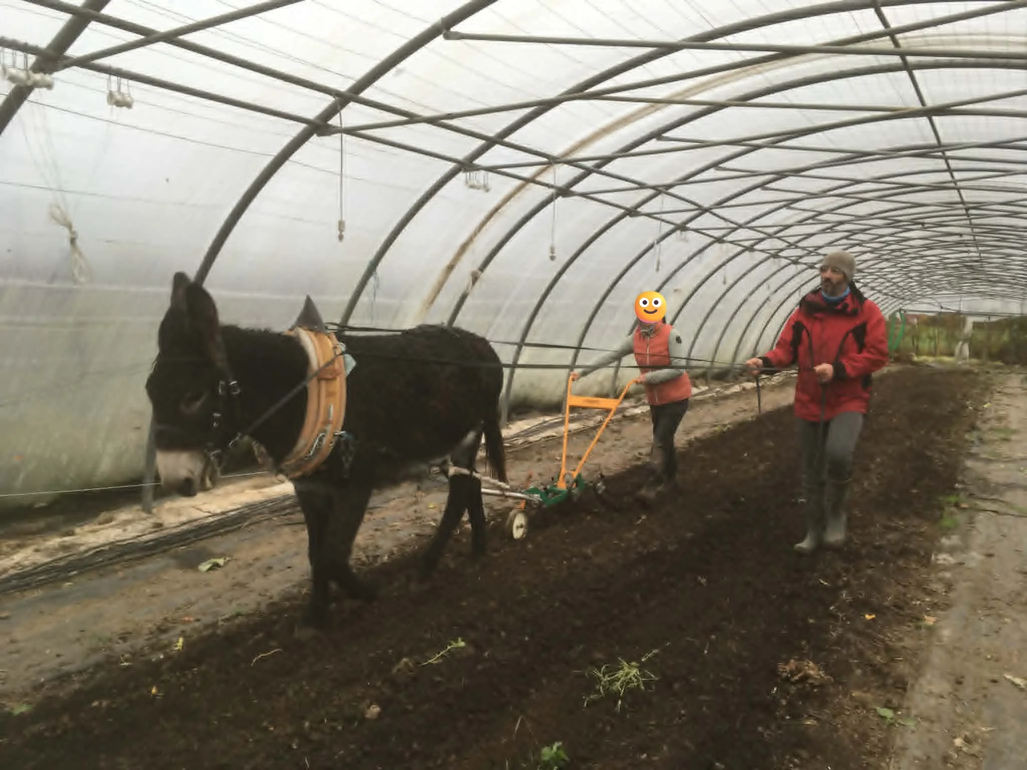cagnotte agriculture