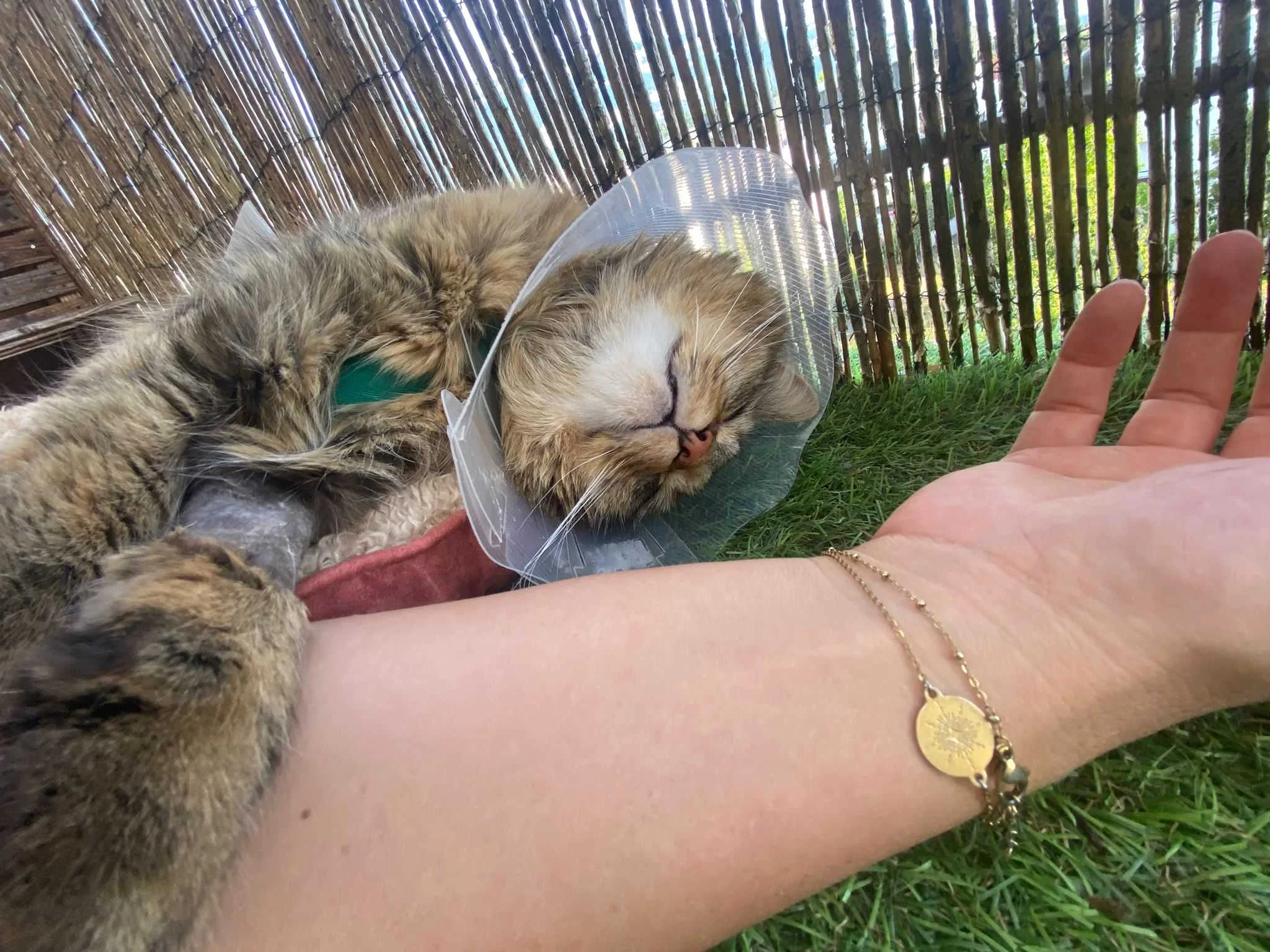 cagnotte dette