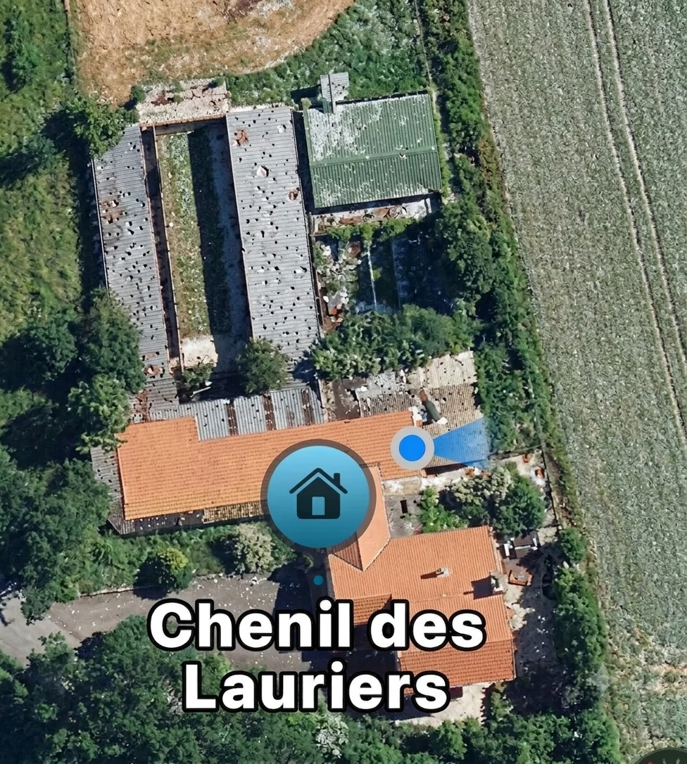 cagnotte cause animale