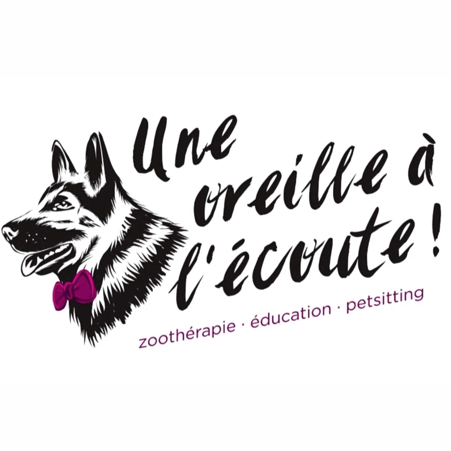 cagnotte cause animale
