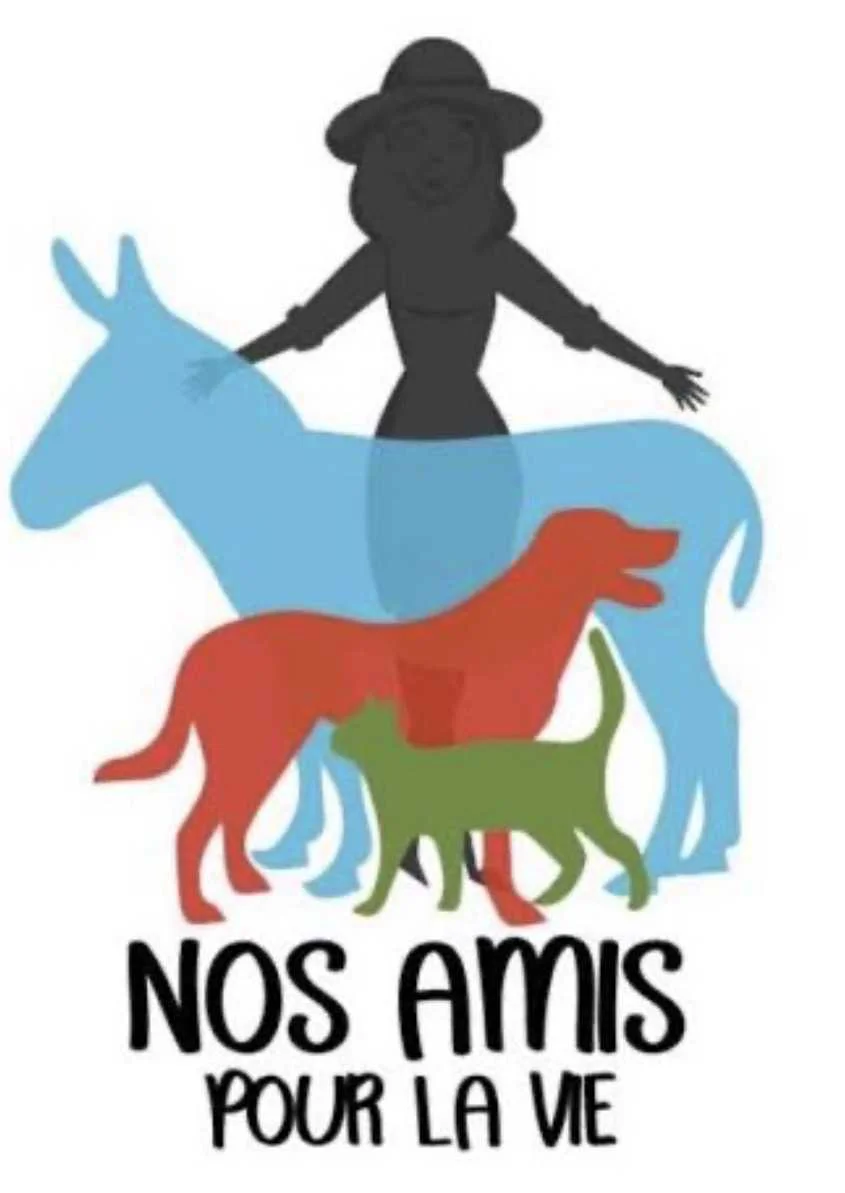 cagnotte cause animale