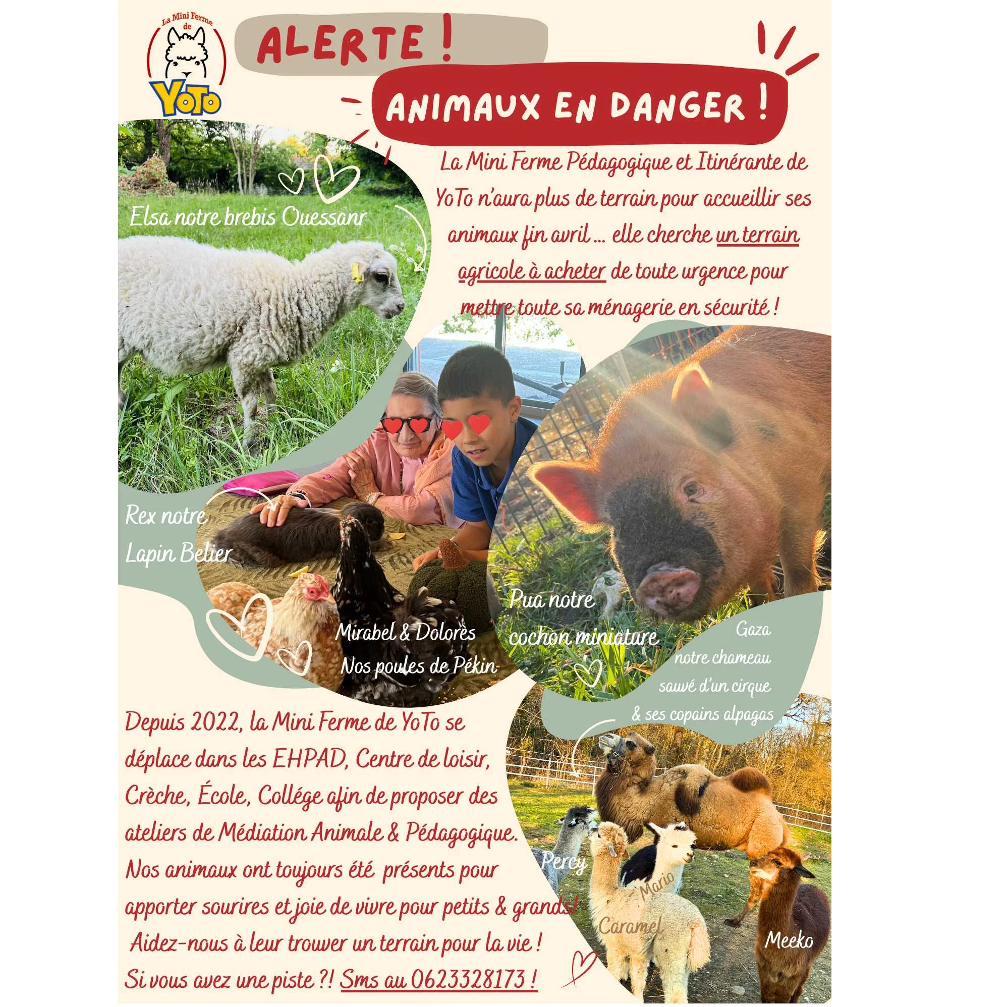cagnotte cause animale
