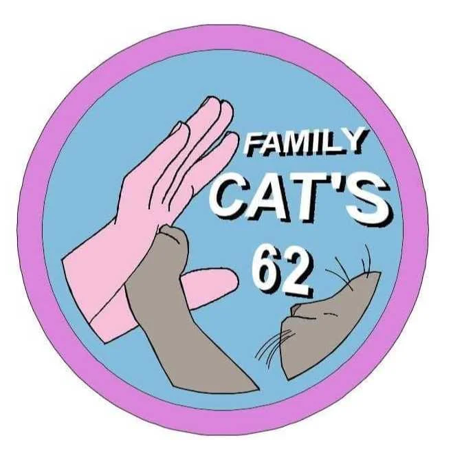 cagnotte cause animale