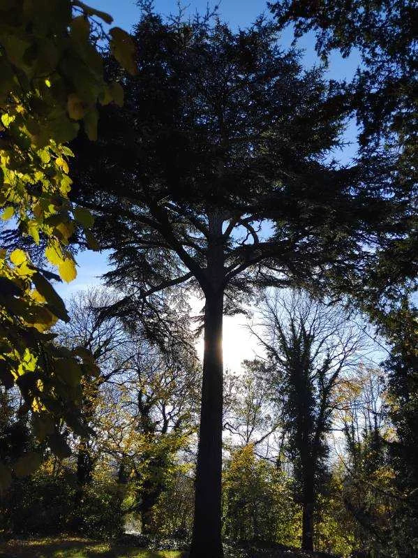 cagnotte pot de départ