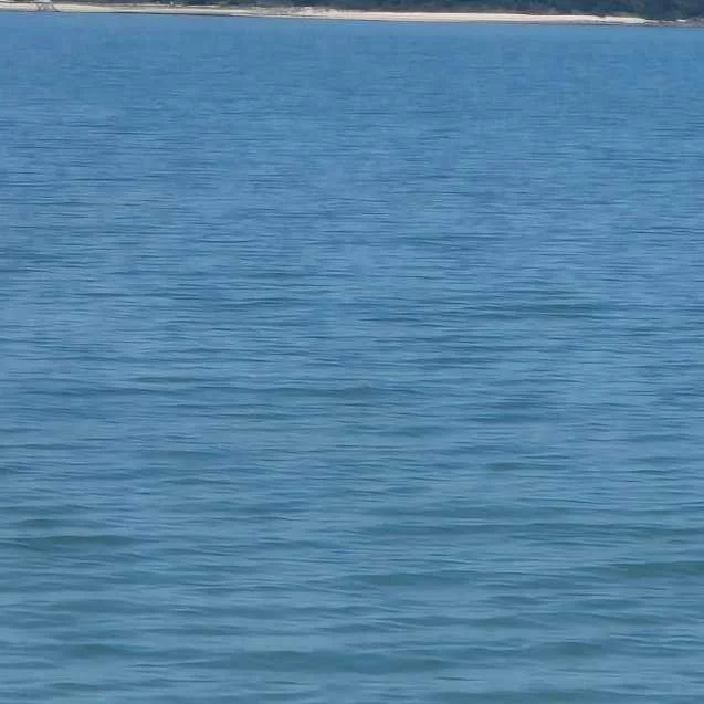 cagnotte pot de départ