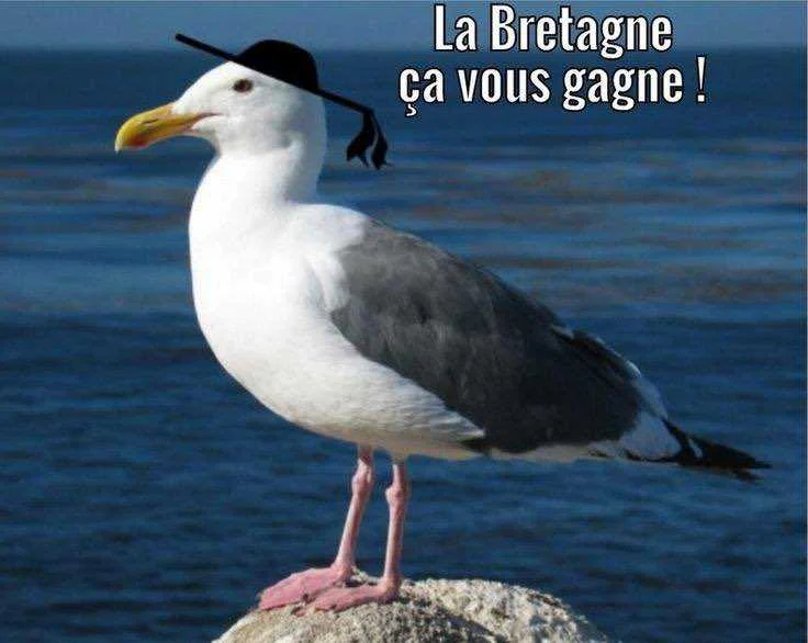 cagnotte pot de départ