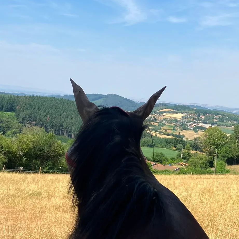 cagnotte solidarité