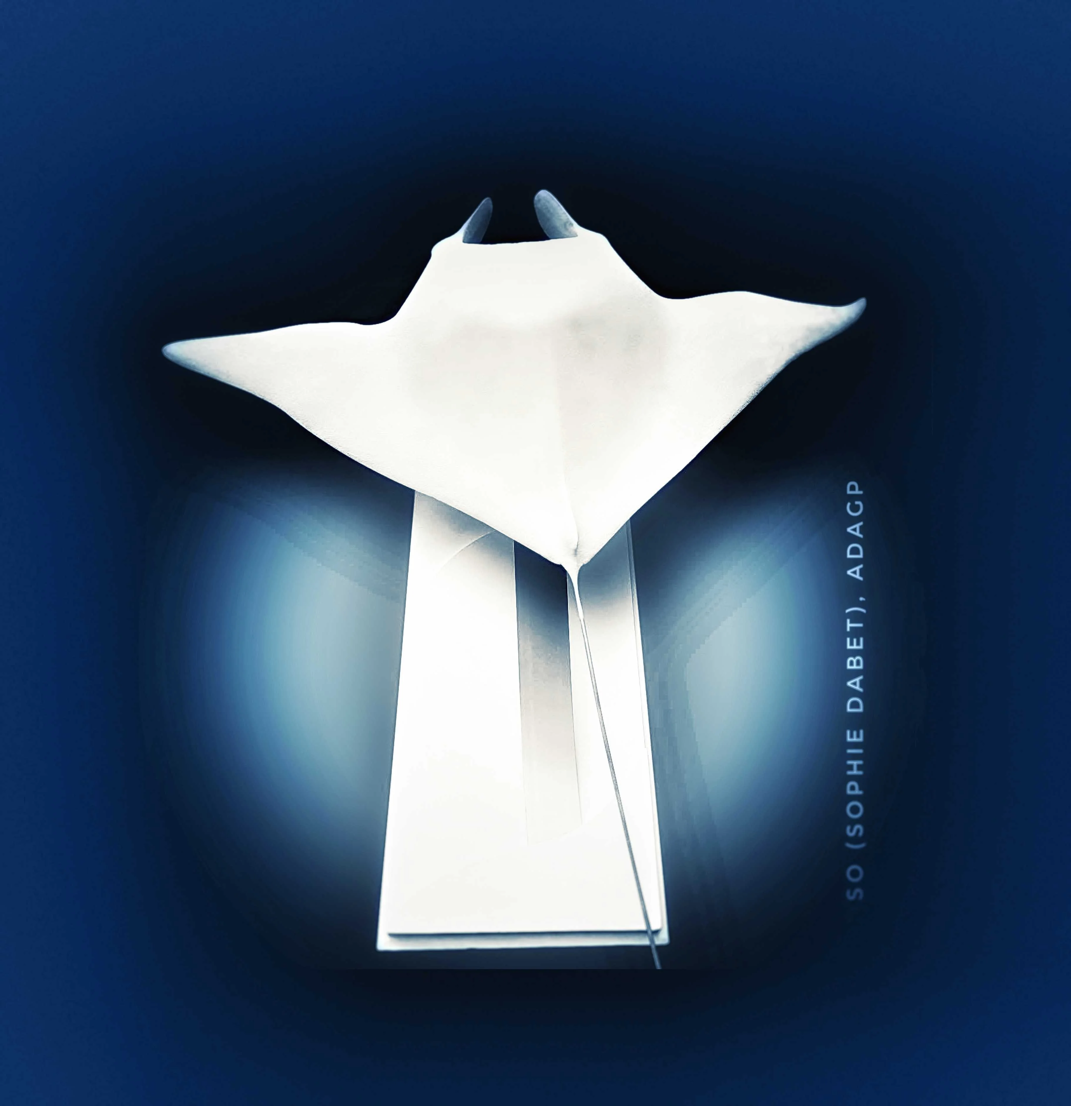cagnotte culture / Art