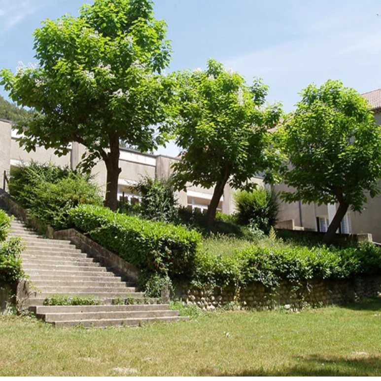 cagnotte enfance / Education