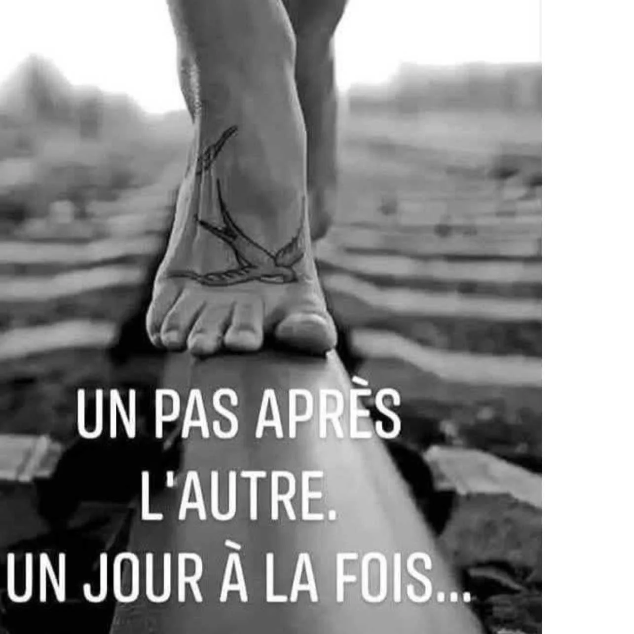cagnotte humanitaire
