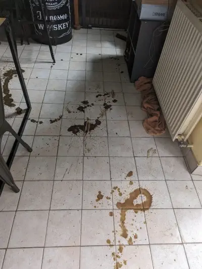 B5pZtbFzu6SCB21rYQlsJQAAaG2k6xfhFQiPkST+SXr7NjOrlrdqwm2KDRAAAAAAAA==