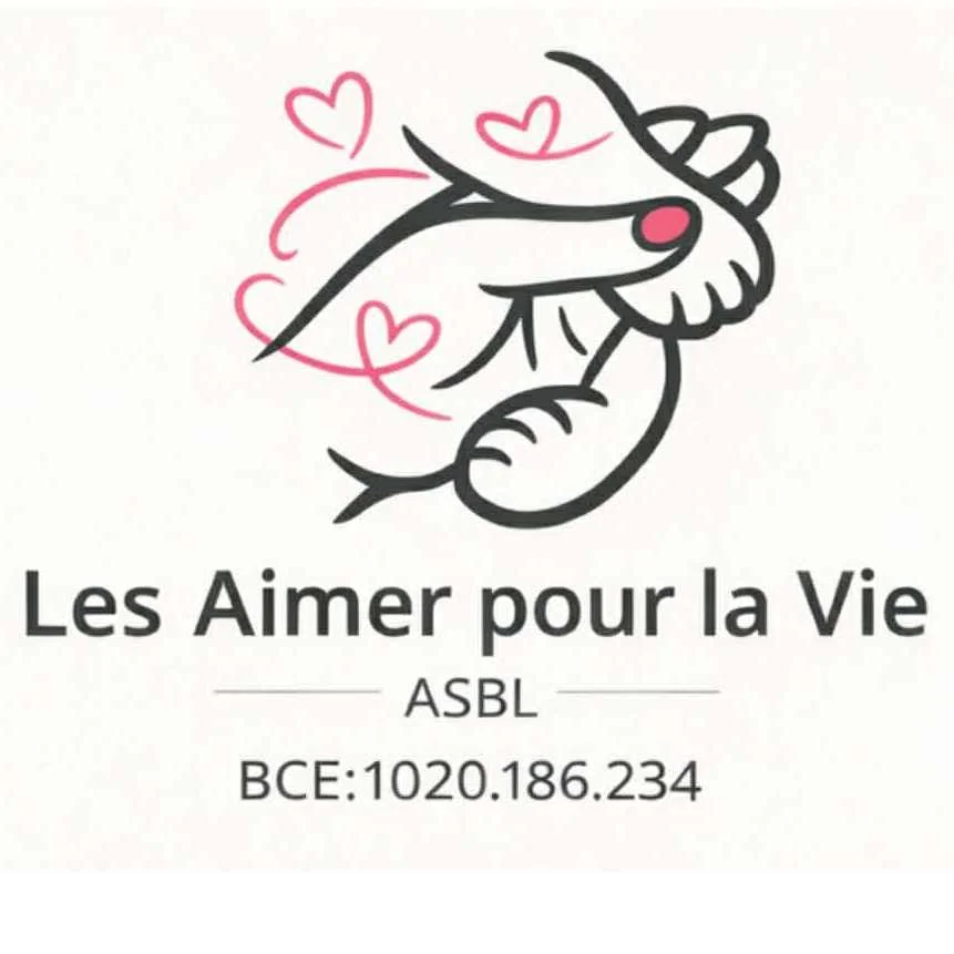 cagnotte cause animale
