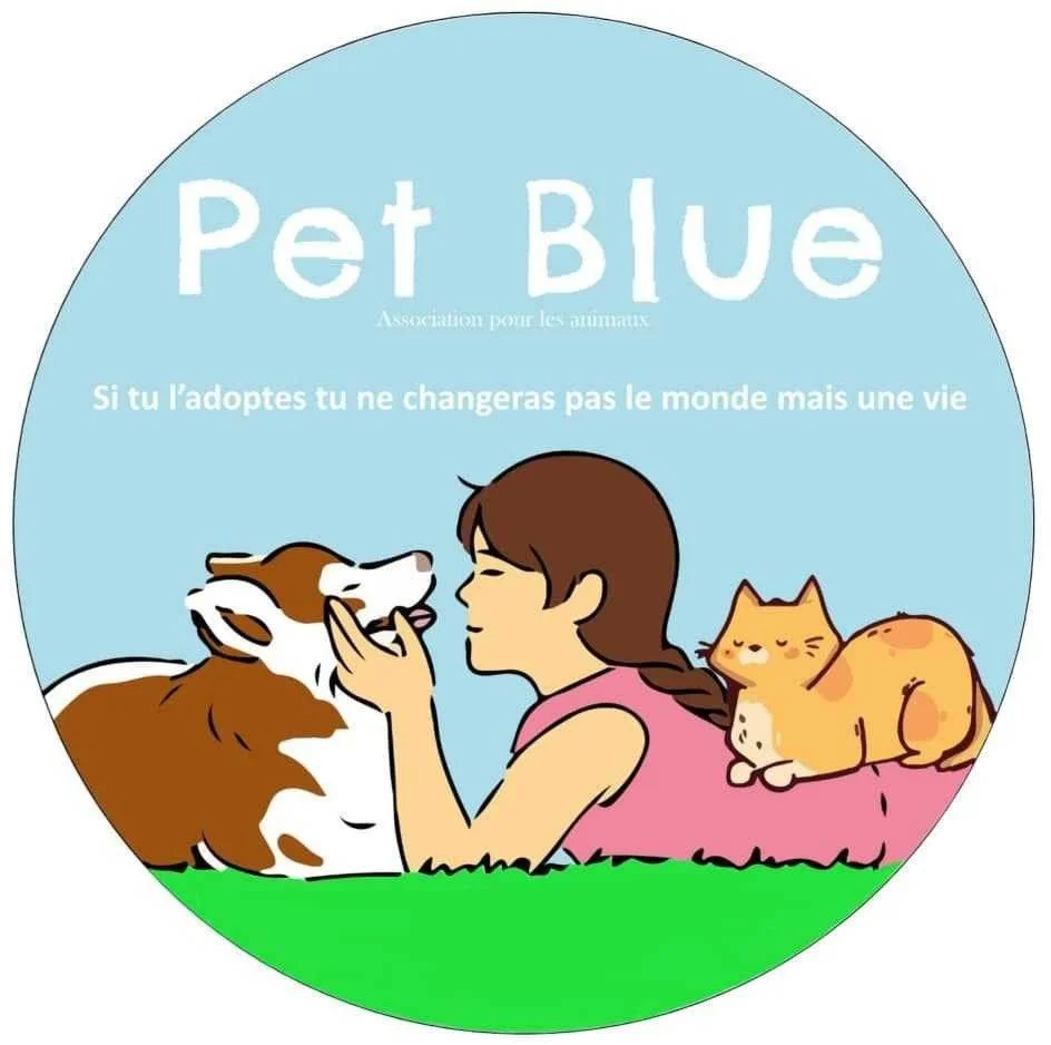 cagnotte cause animale
