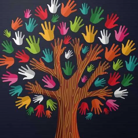 cagnotte solidarité