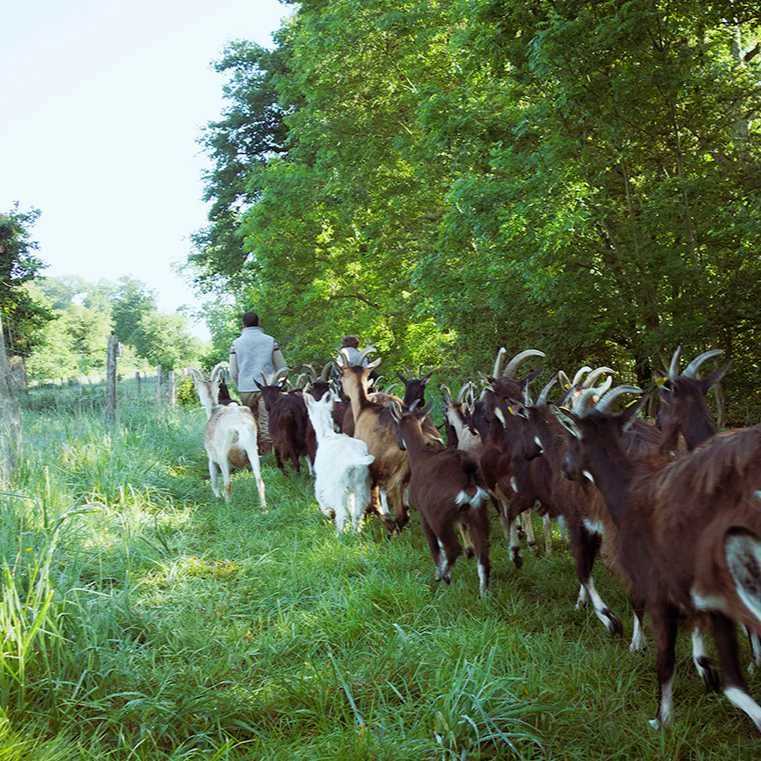 cagnotte agriculture