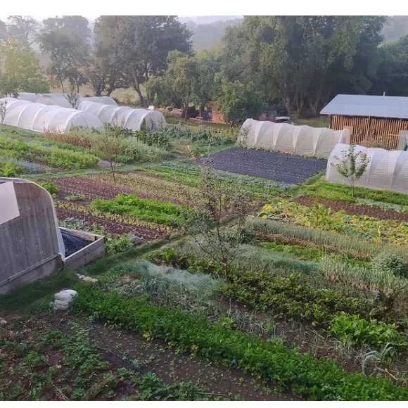 cagnotte agriculture