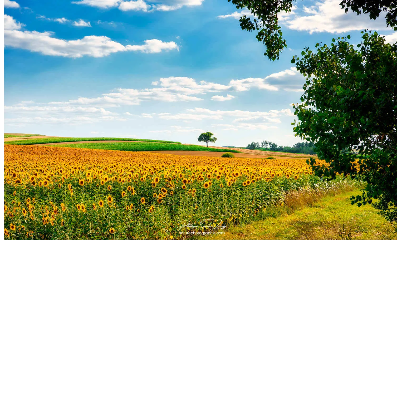 cagnotte agriculture