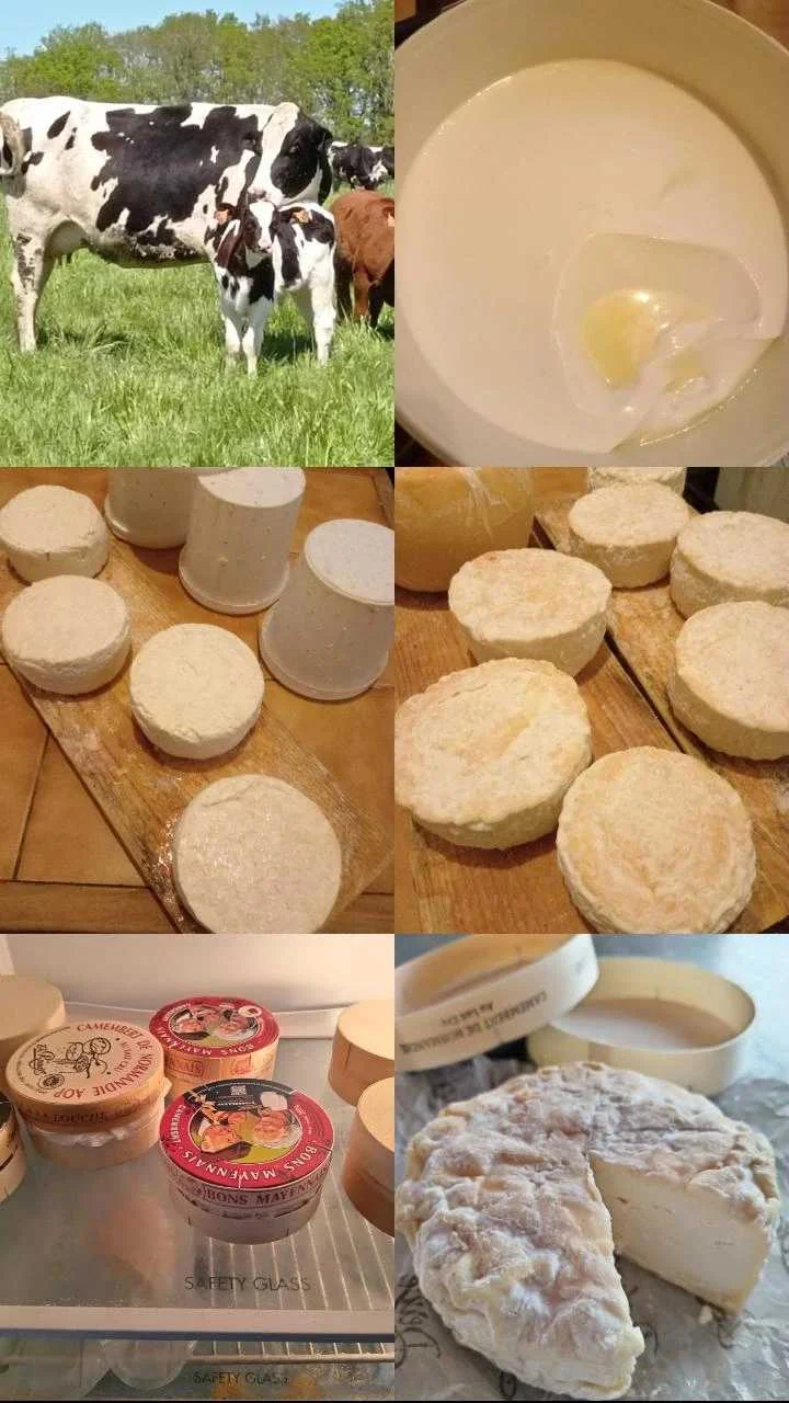 cagnotte culture