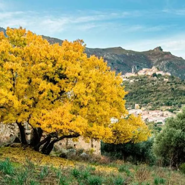 cagnotte pot de départ