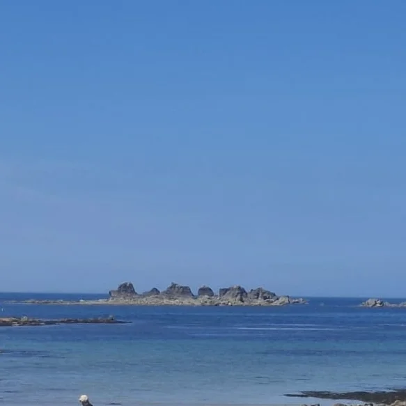 cagnotte pot de départ