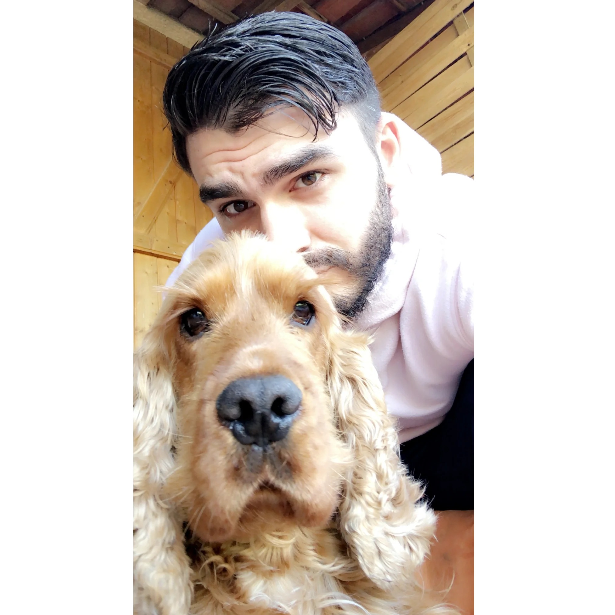 cagnotte cause animale