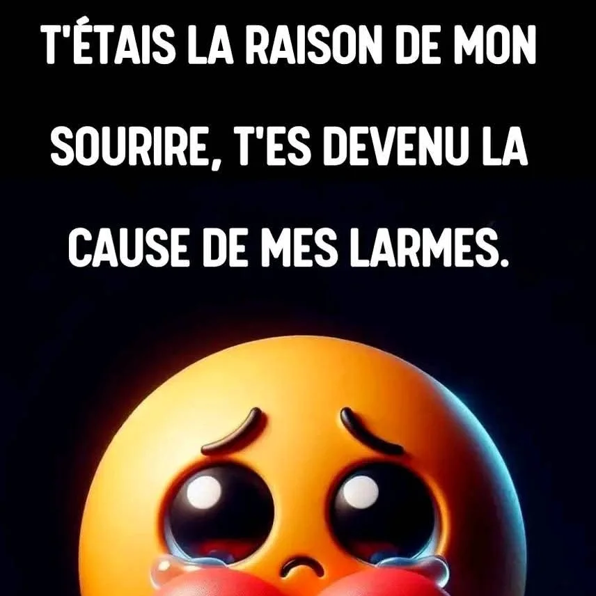 cagnotte cause animale