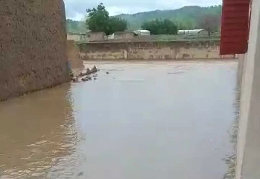 cagnotte humanitaire