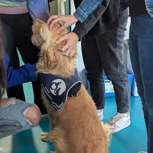 cagnotte solidarité