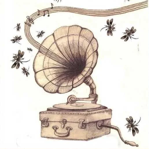 cagnotte soirée