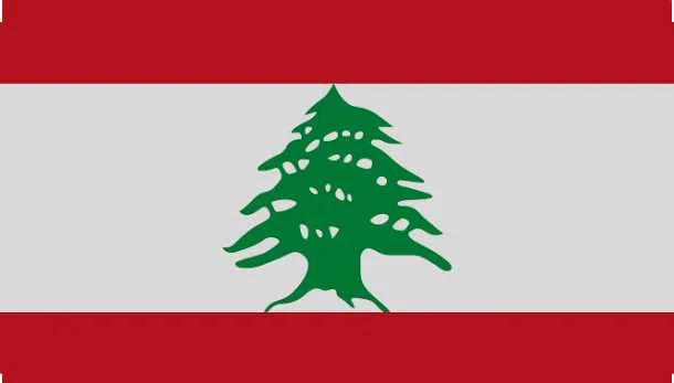 cagnotte solidarité