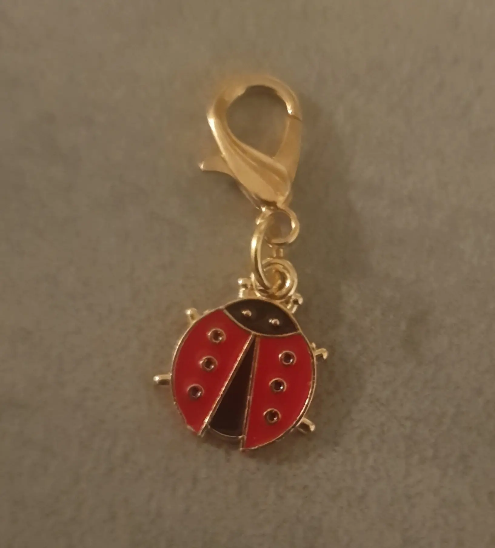 un porte clef coccinelle 