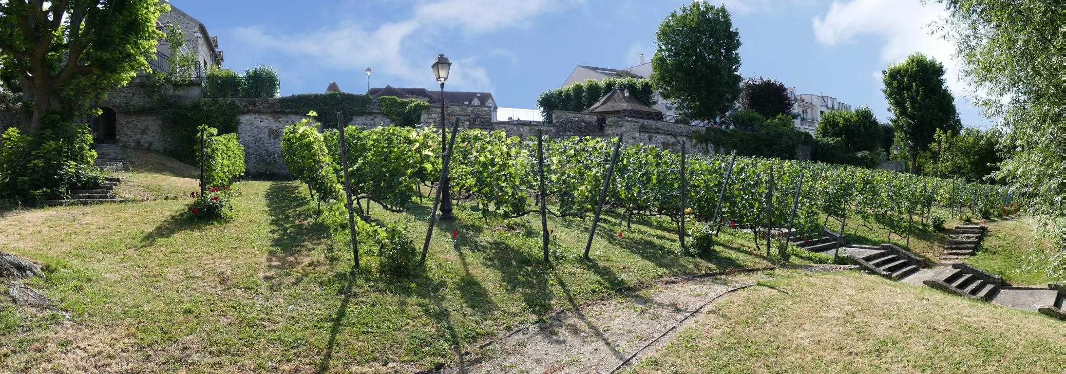 cagnotte patrimoine