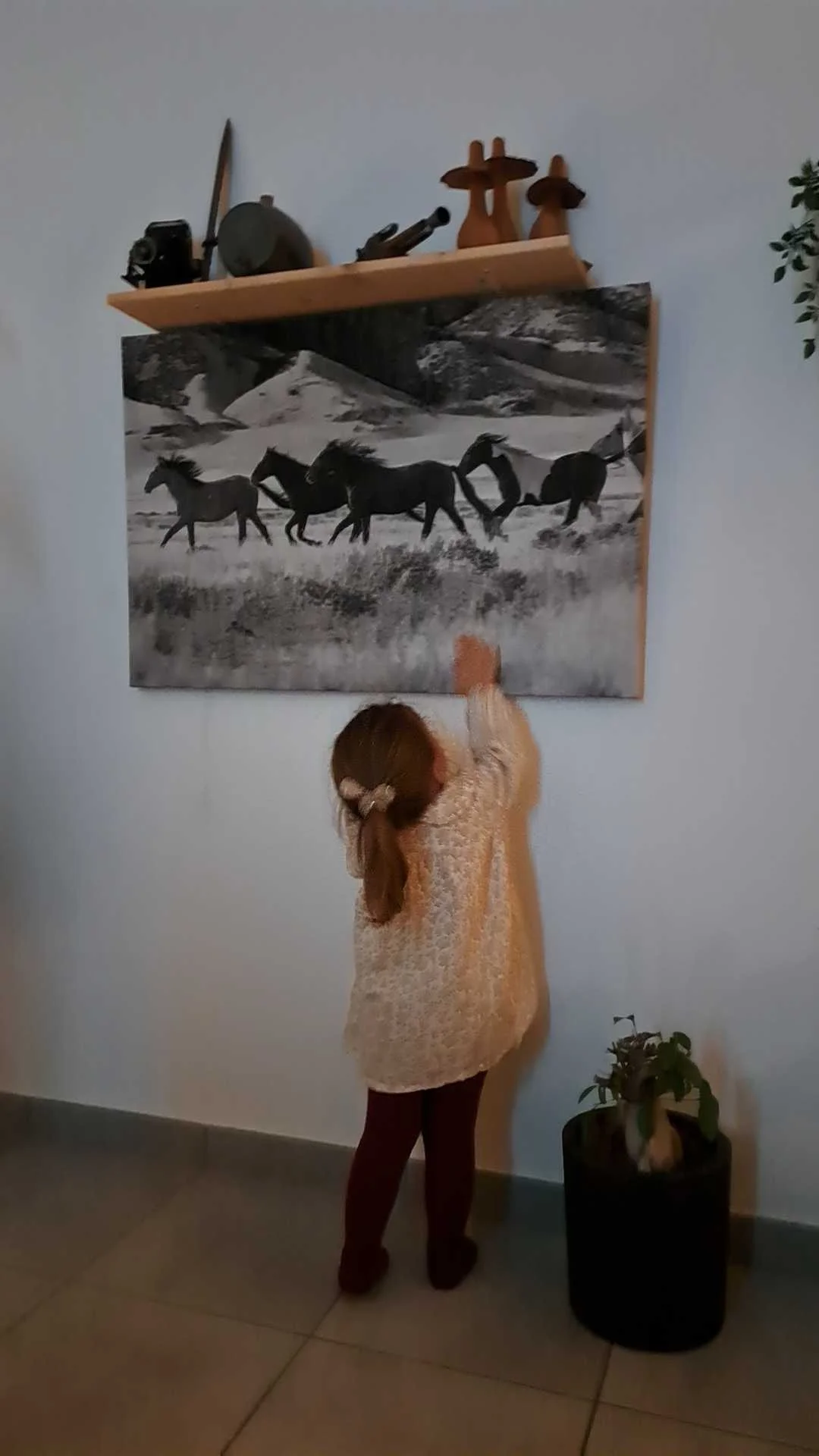 cagnotte anniversaire