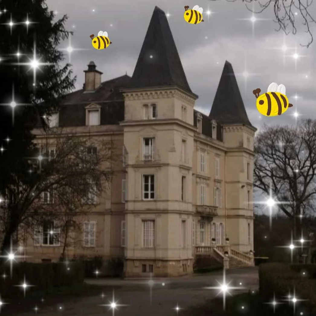 cagnotte enfance