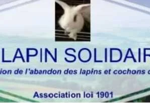 cagnotte cause animale