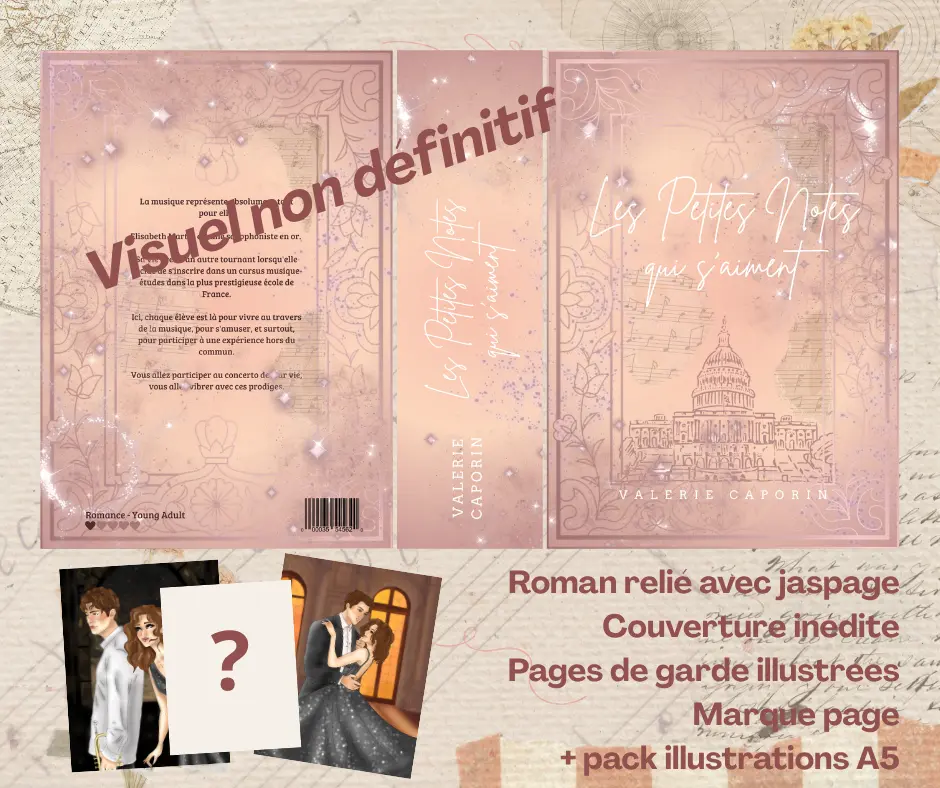 Coffret : Roman + pack illustrations