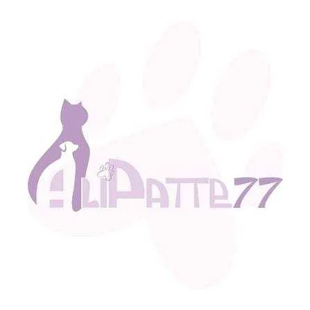 cagnotte cause animale