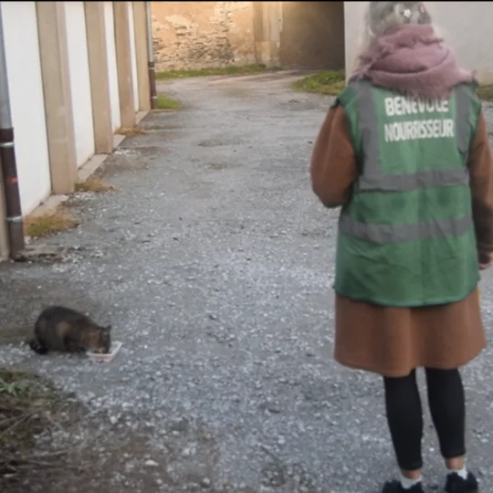 cagnotte cause animale