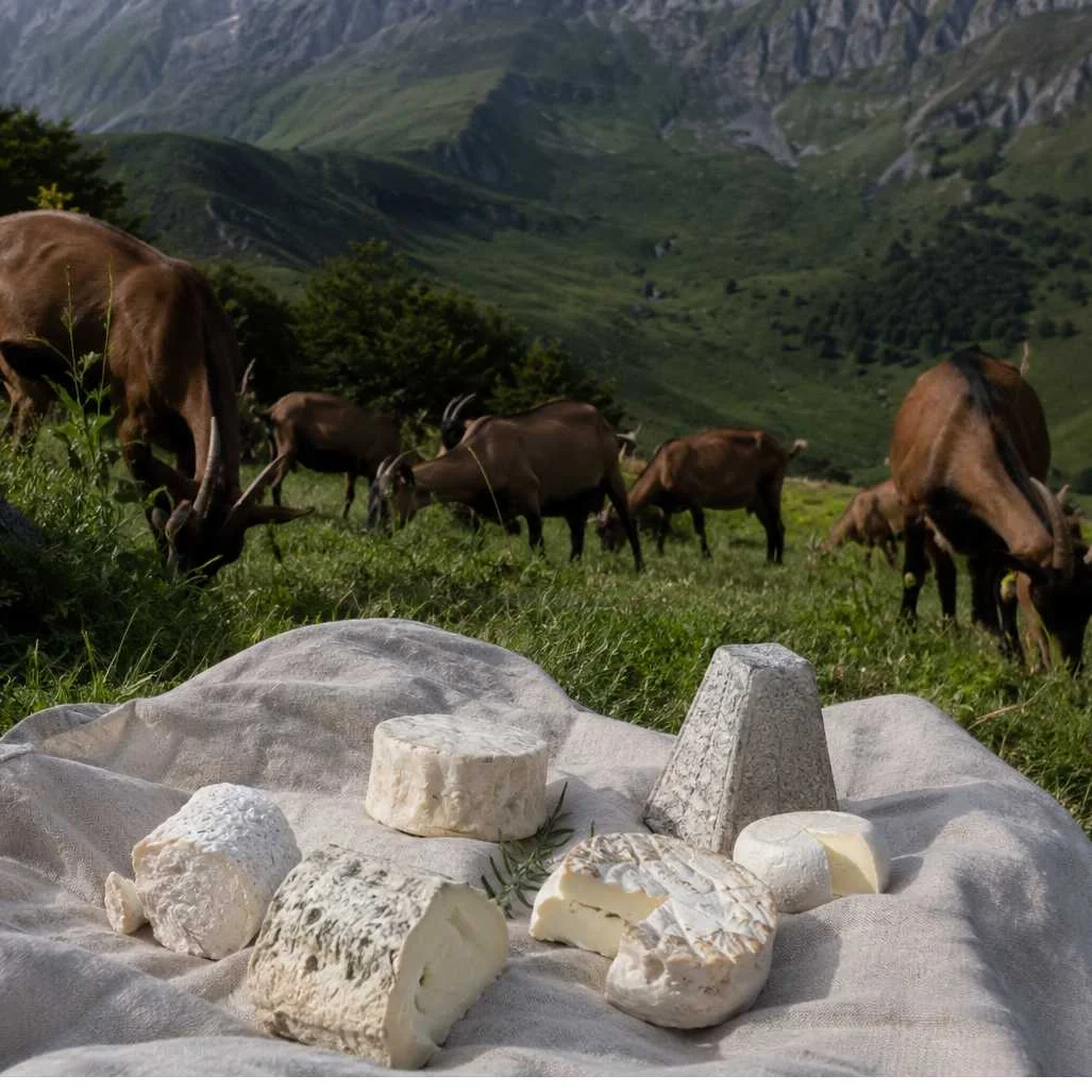 cagnotte agriculture