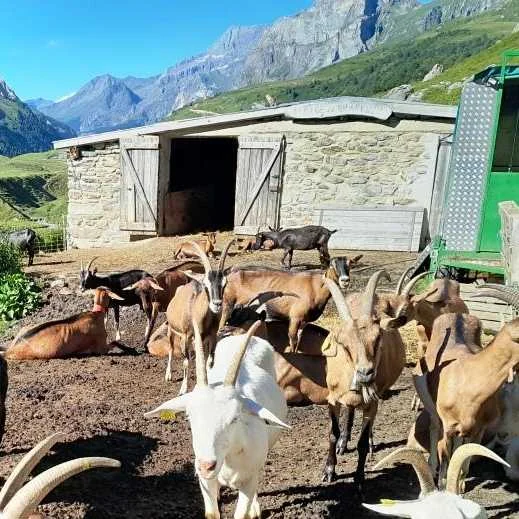 cagnotte agriculture
