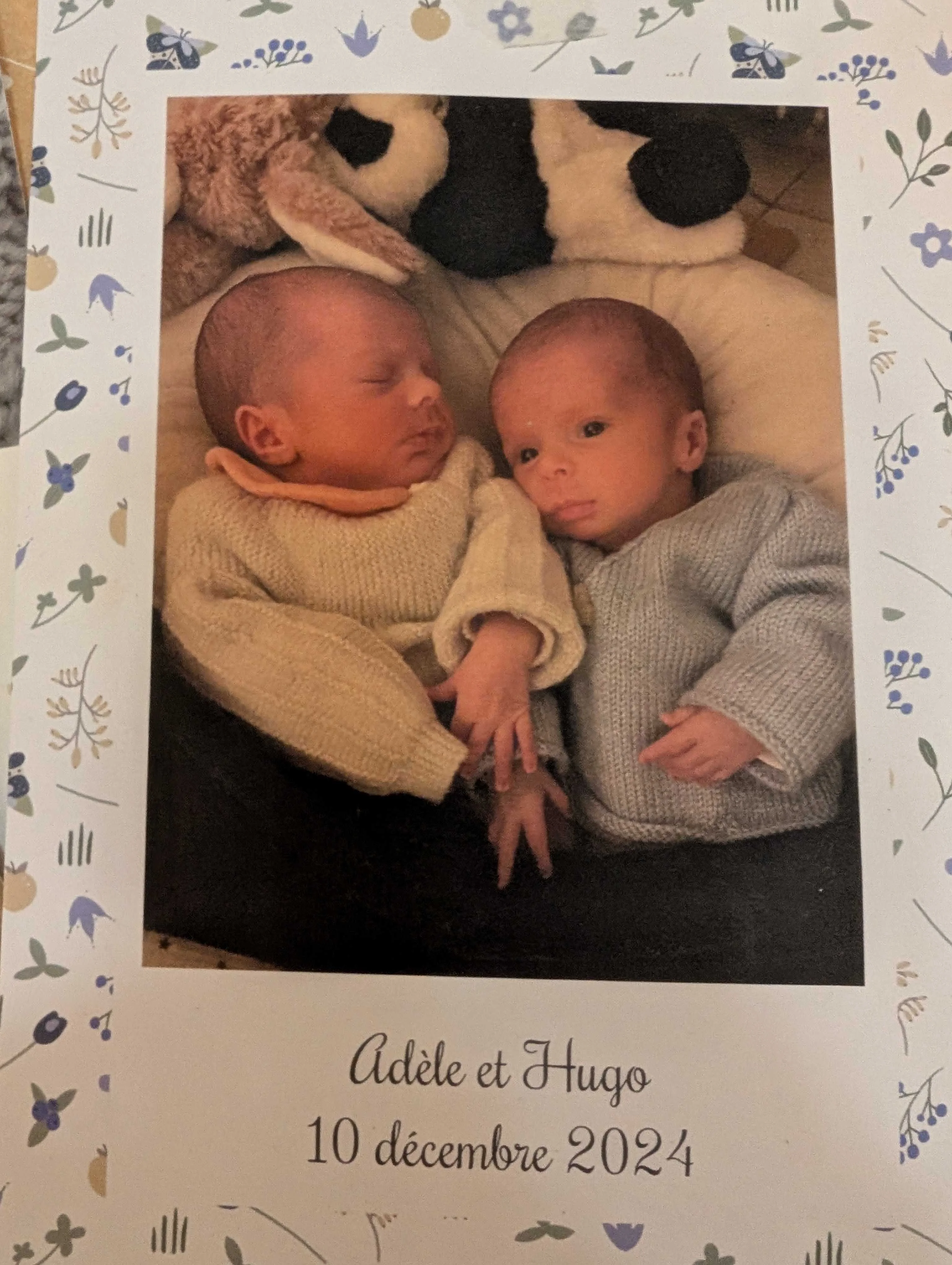 cagnotte naissance