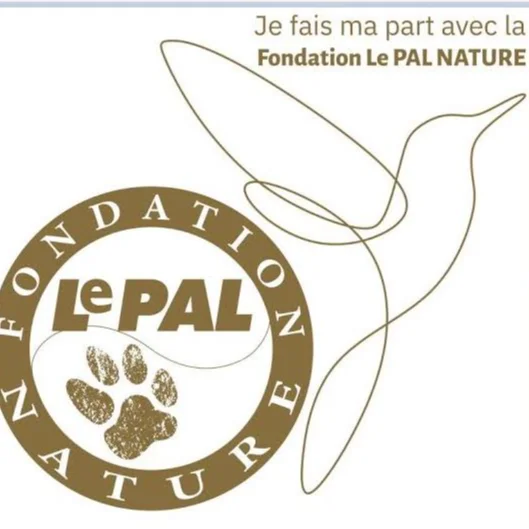 cagnotte cause animale