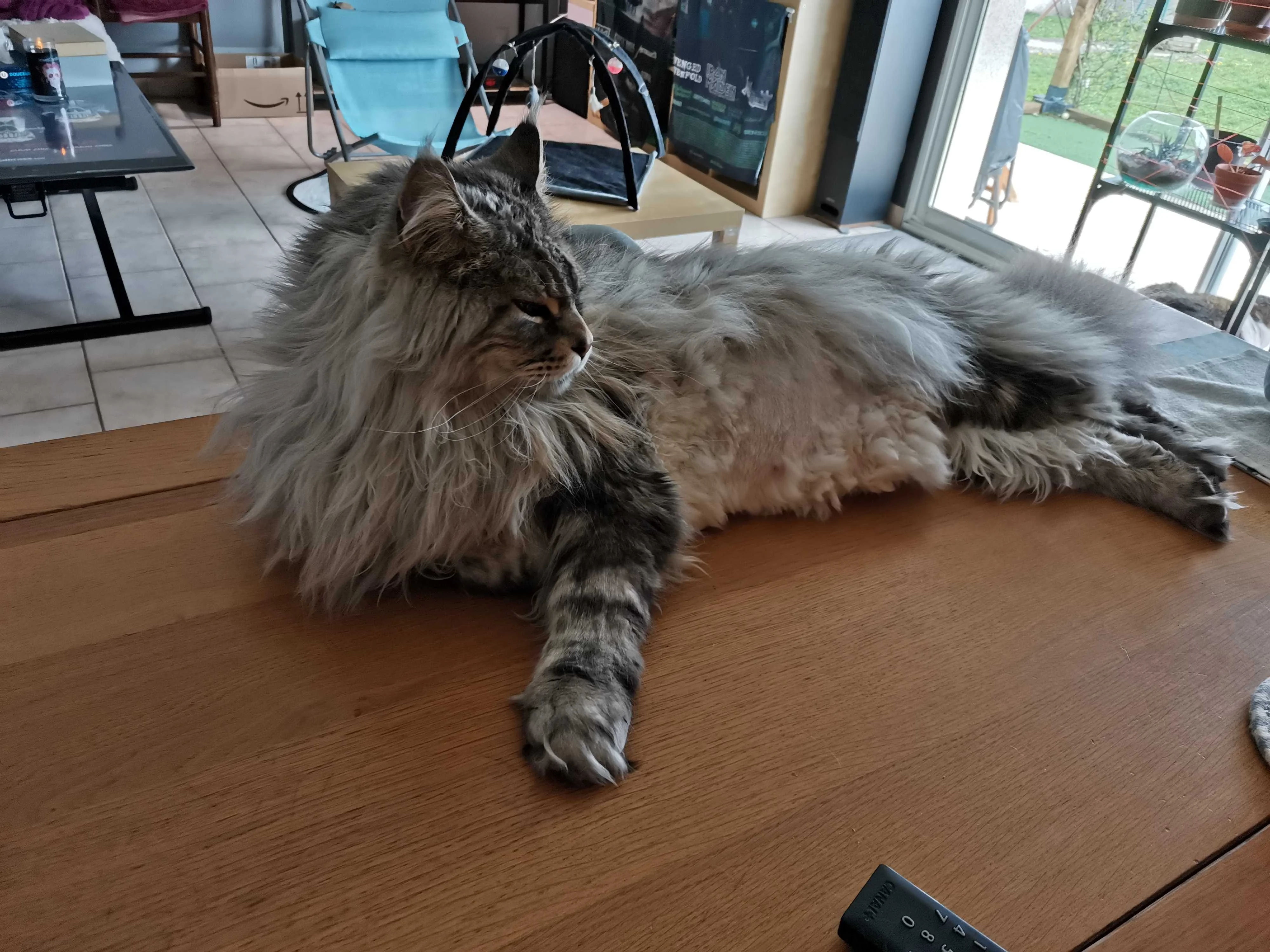 cagnotte autre