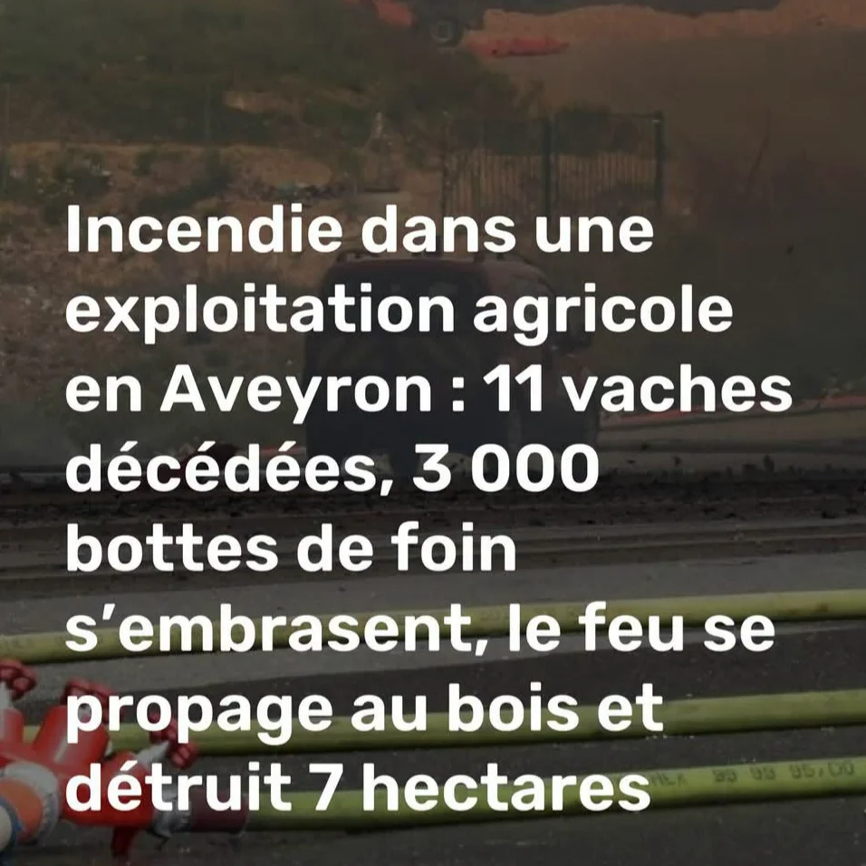 cagnotte solidarité