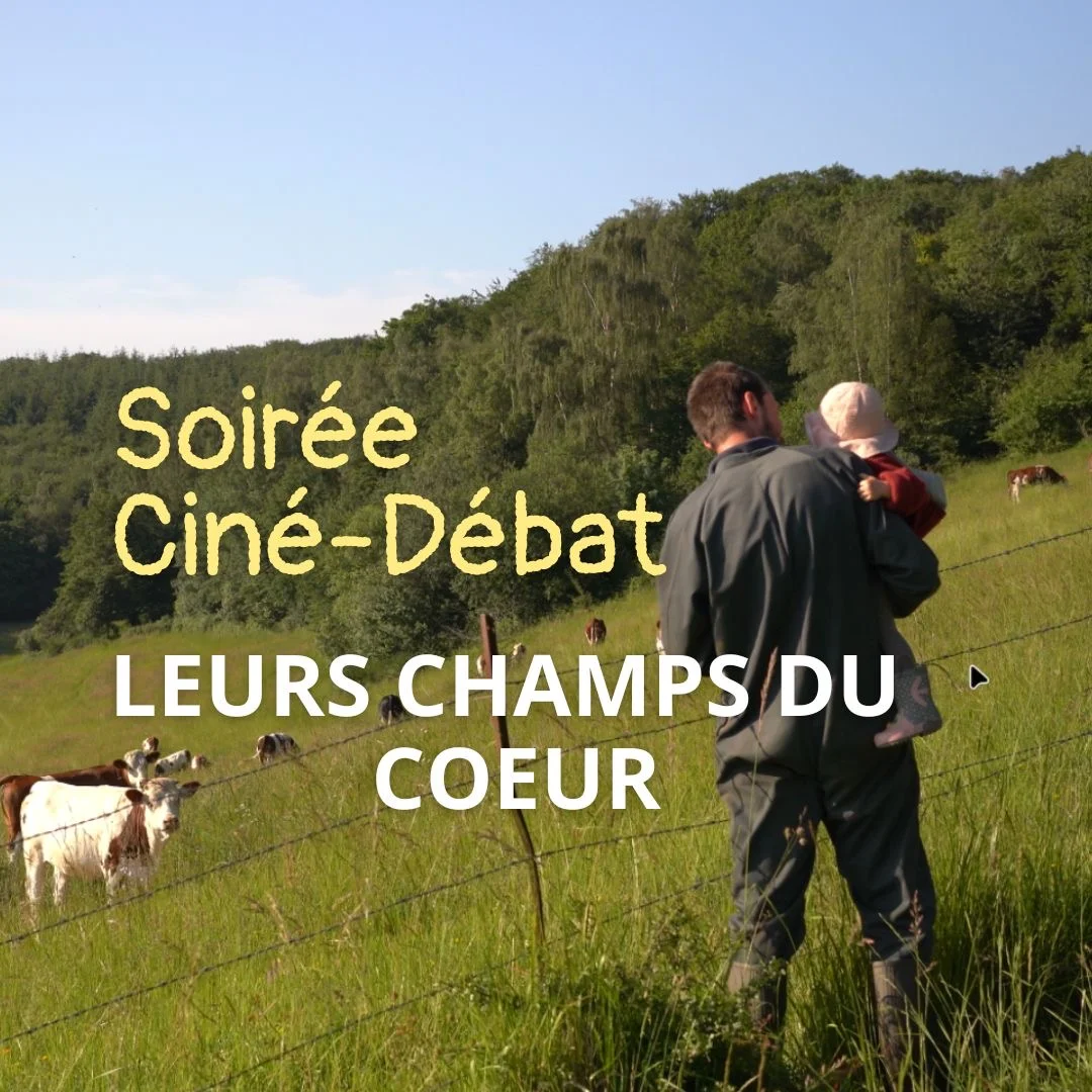 billetterie cinéma