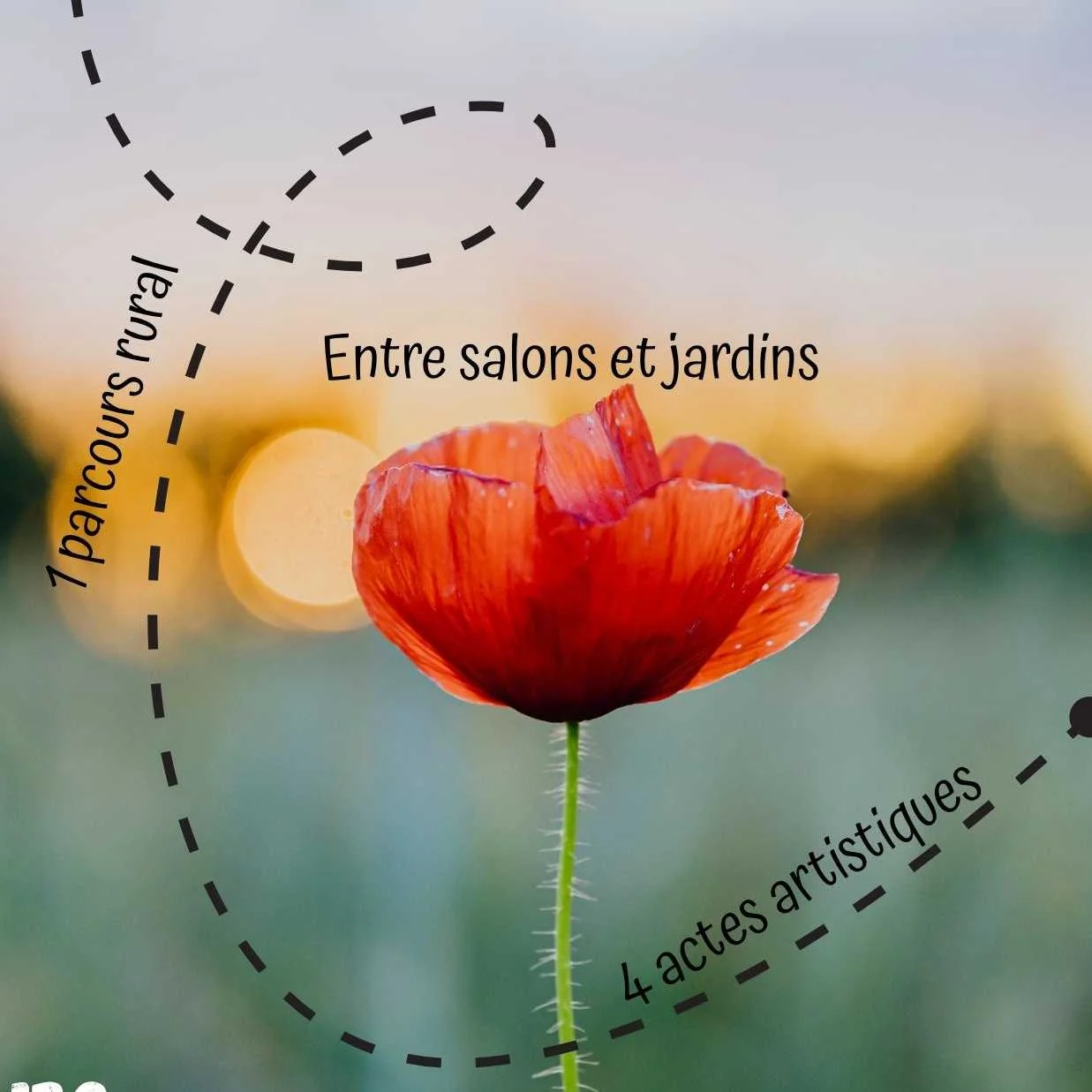 billetterie spectacle