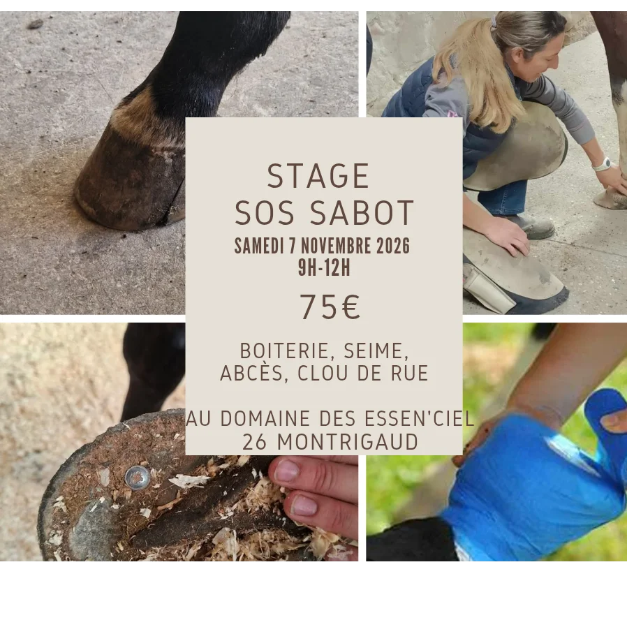 billetterie cours particulier