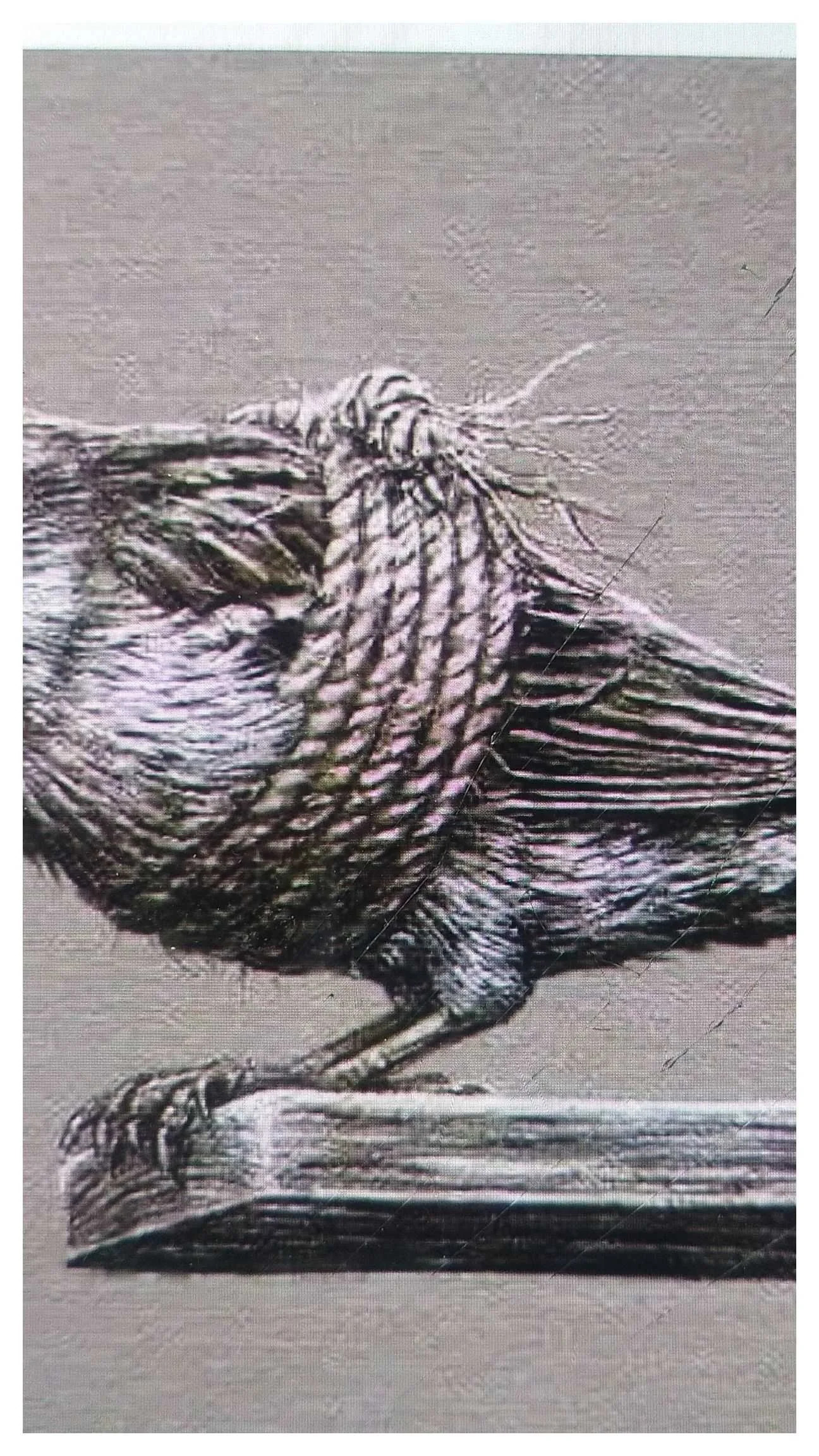 pétition politique & justice