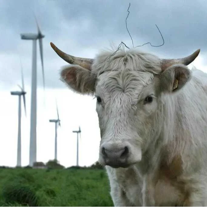 pétition environnement
